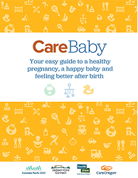 Image of the CareBaby Book cover, an orange cover featuring the words "CareBaby, your easy guide to a healthy pregnancy, a happy baby and feeling better after birth"